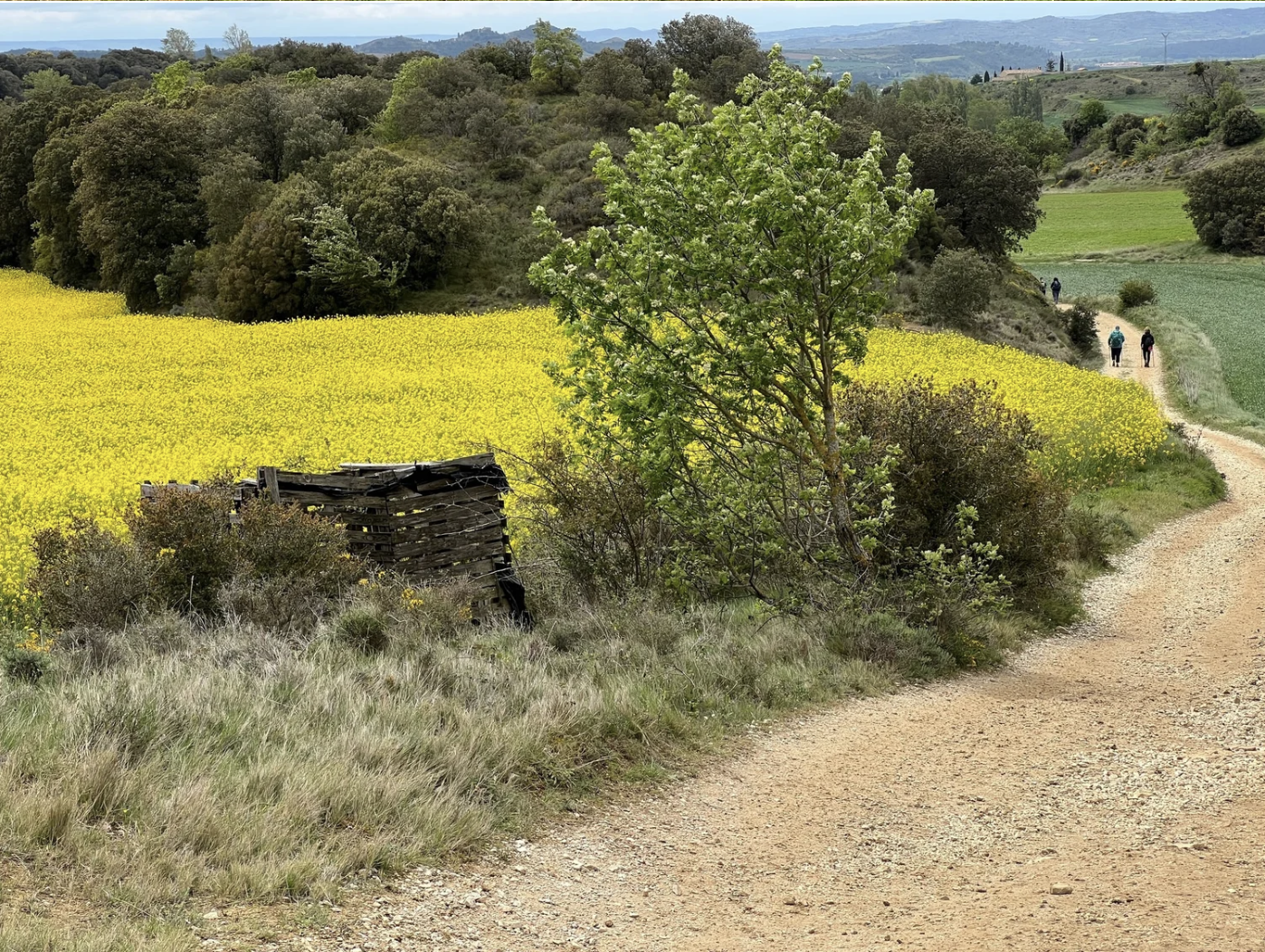 Screenshot 2026-03-09 at 8.02.23 PM.png