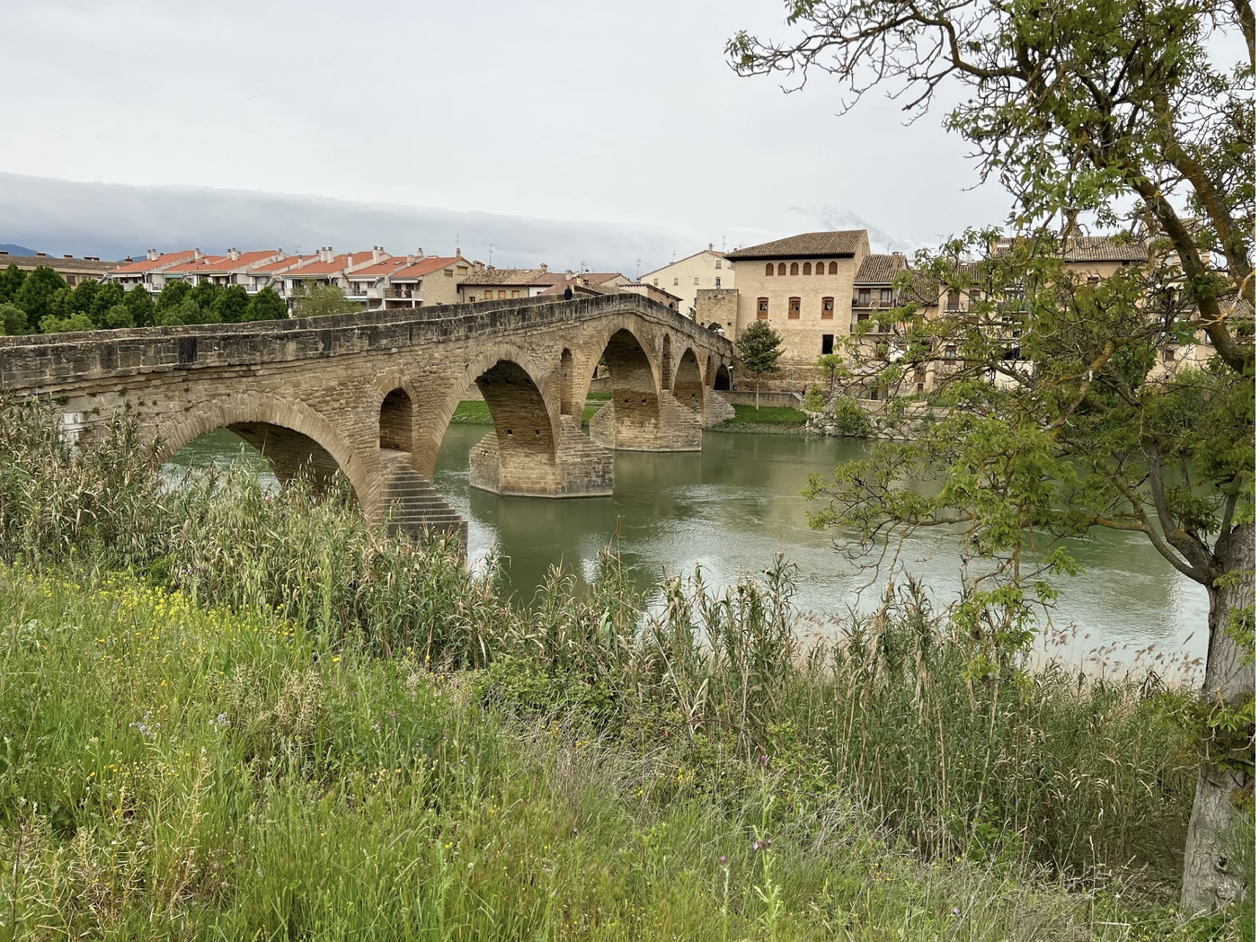 Screenshot 2026-03-09 at 8.03.46 PM.png