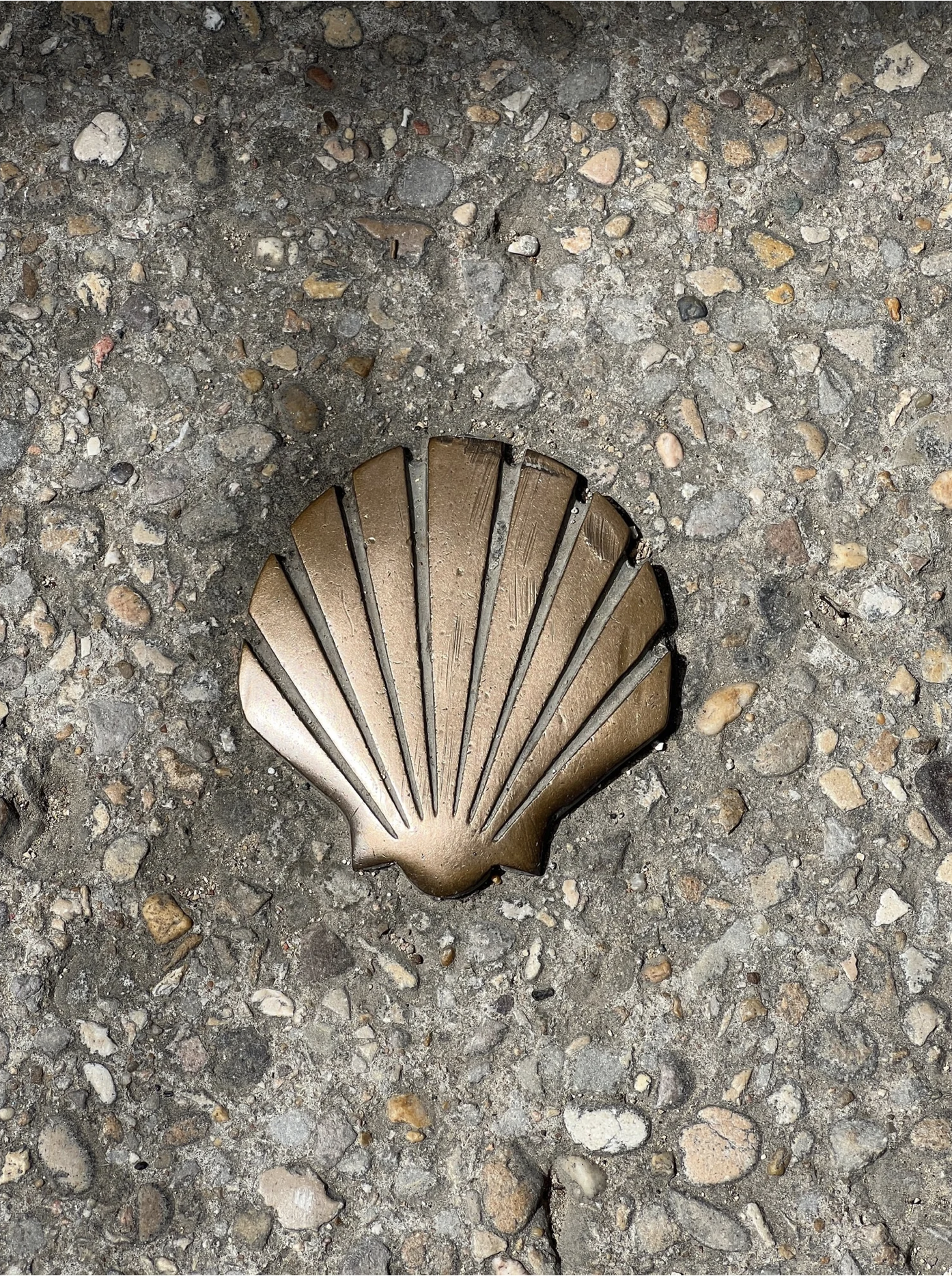 Screenshot 2026-03-10 at 8.04.10 AM.png