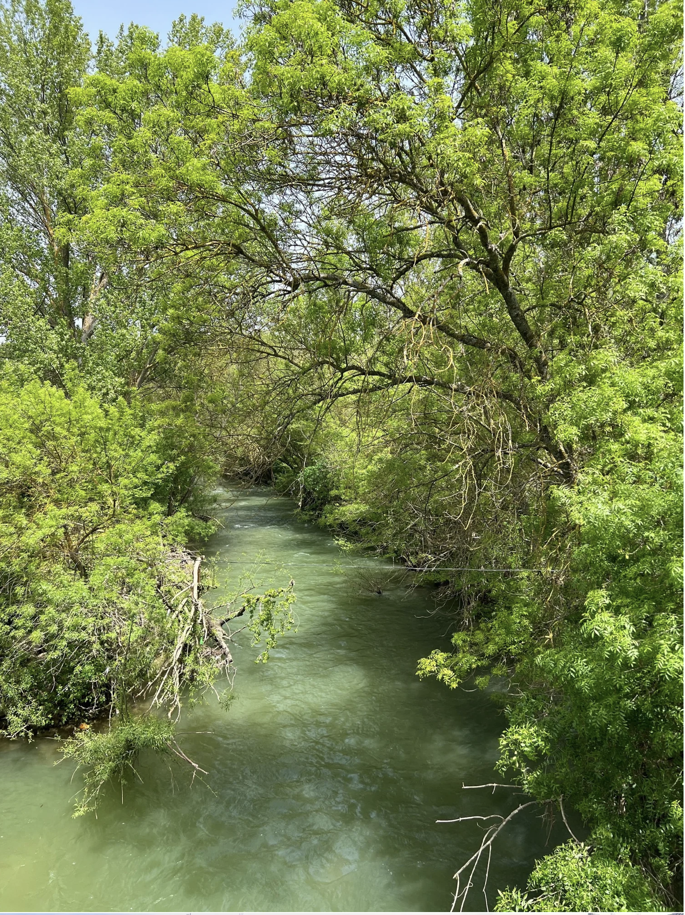 Screenshot 2026-03-10 at 8.05.28 AM.png