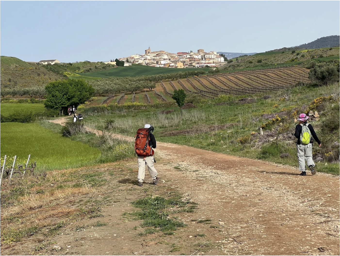 Screenshot 2026-03-10 at 8.05.55 AM.png