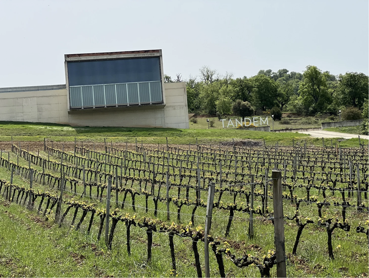 Screenshot 2026-03-10 at 8.06.40 AM.png