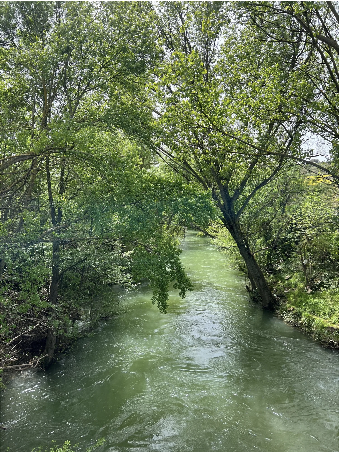 Screenshot 2026-03-10 at 8.07.37 AM.png