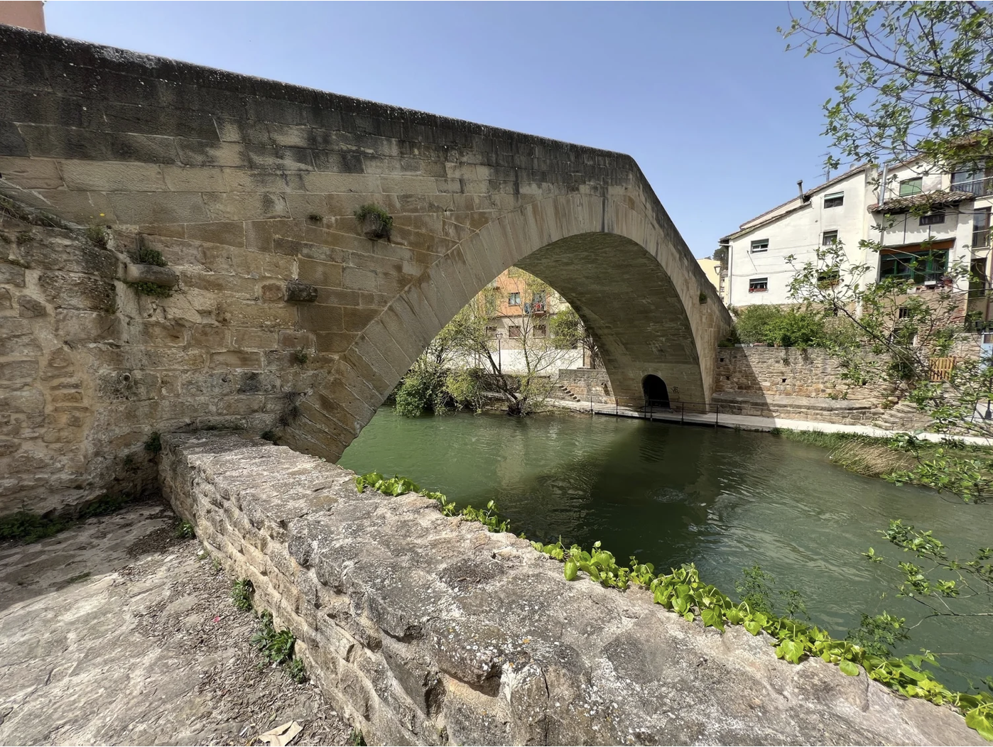 Screenshot 2026-03-10 at 8.08.41 AM.png