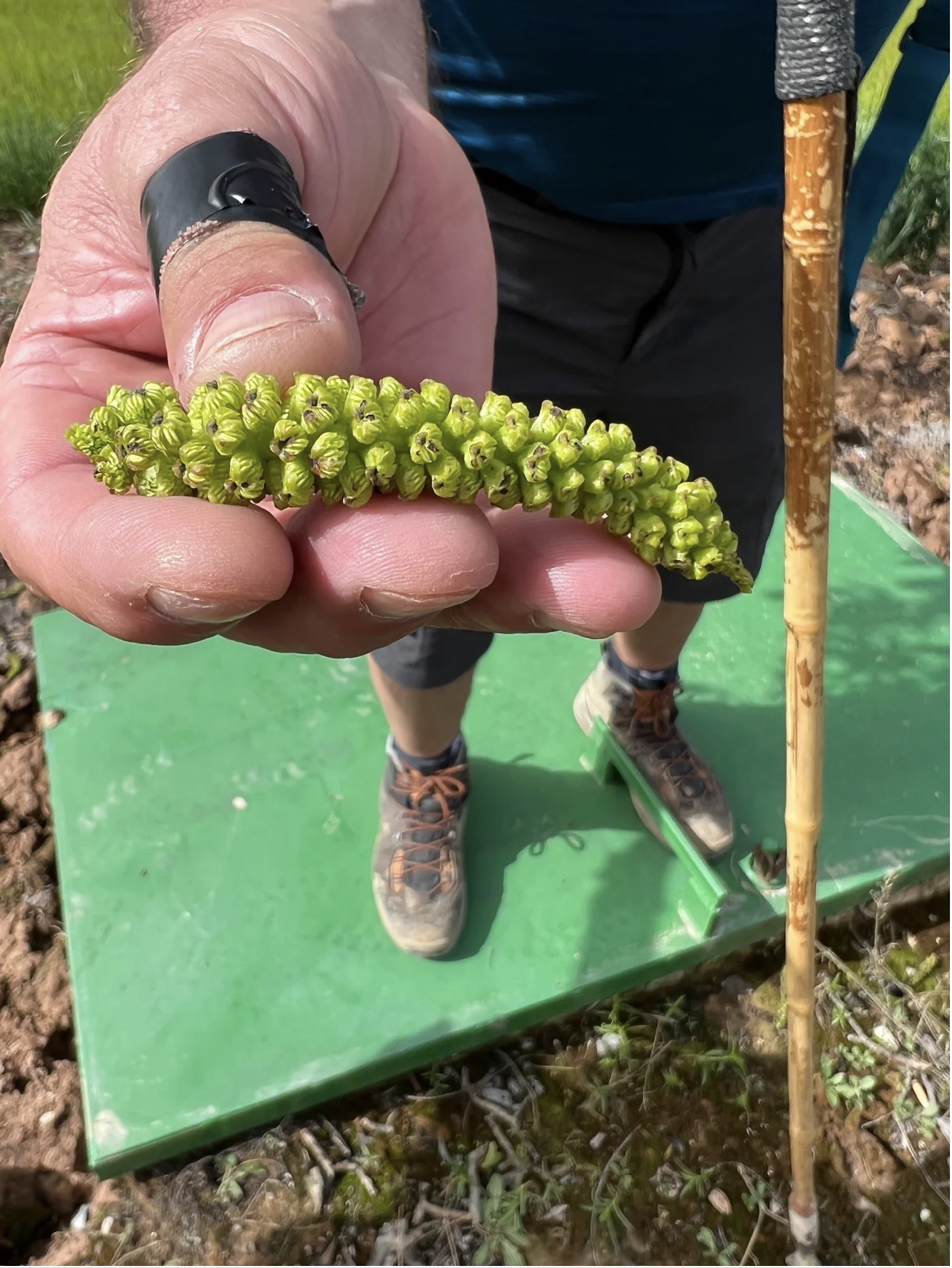 Screenshot 2026-03-10 at 8.09.33 AM.png