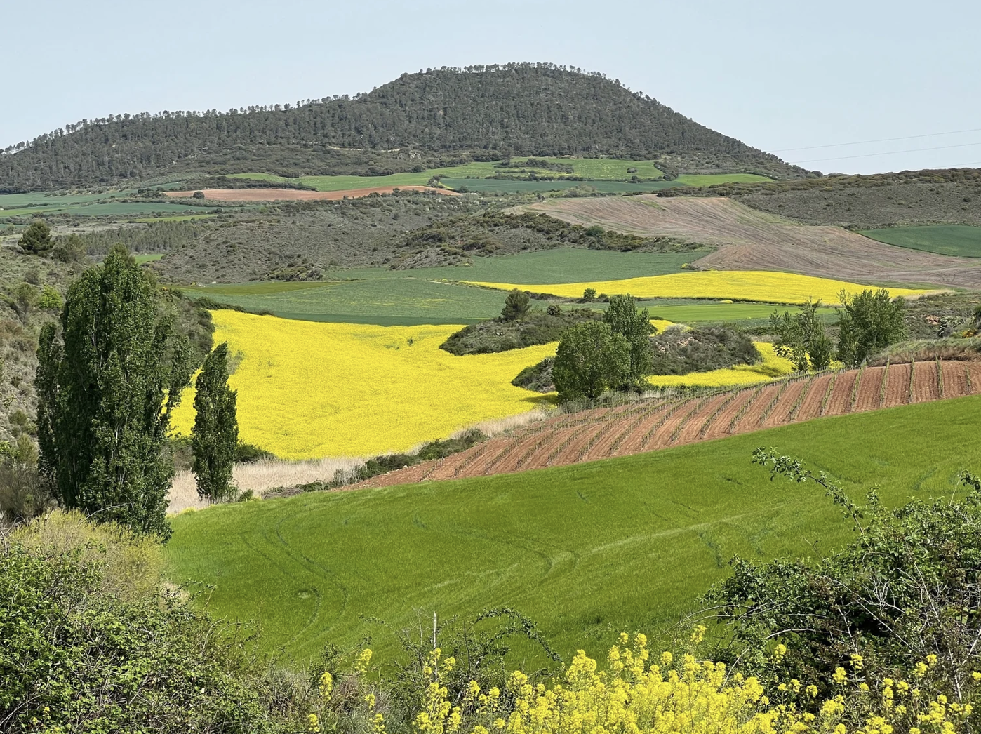 Screenshot 2026-03-10 at 8.09.46 AM.png