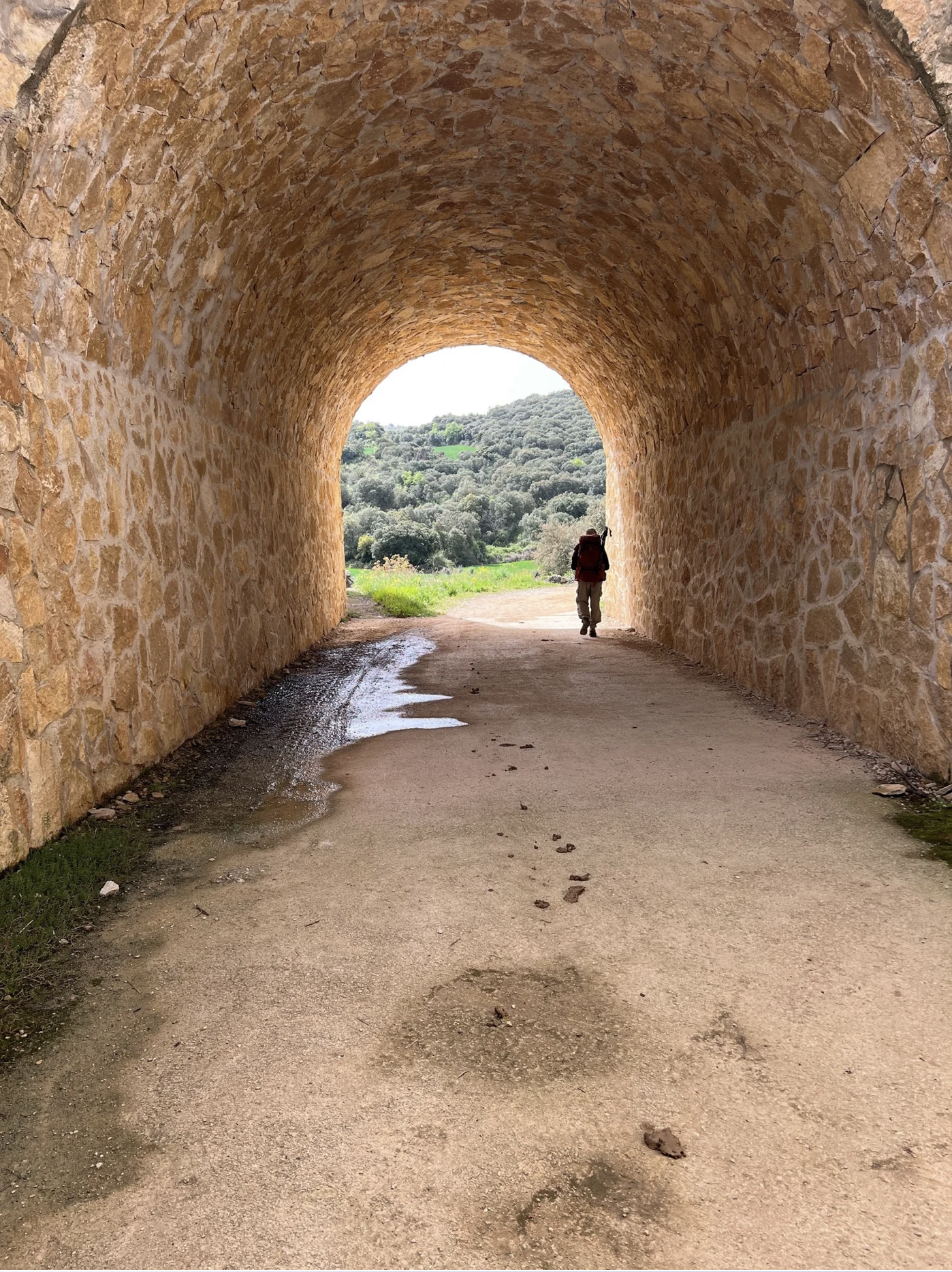 Screenshot 2026-03-10 at 8.10.00 AM.png