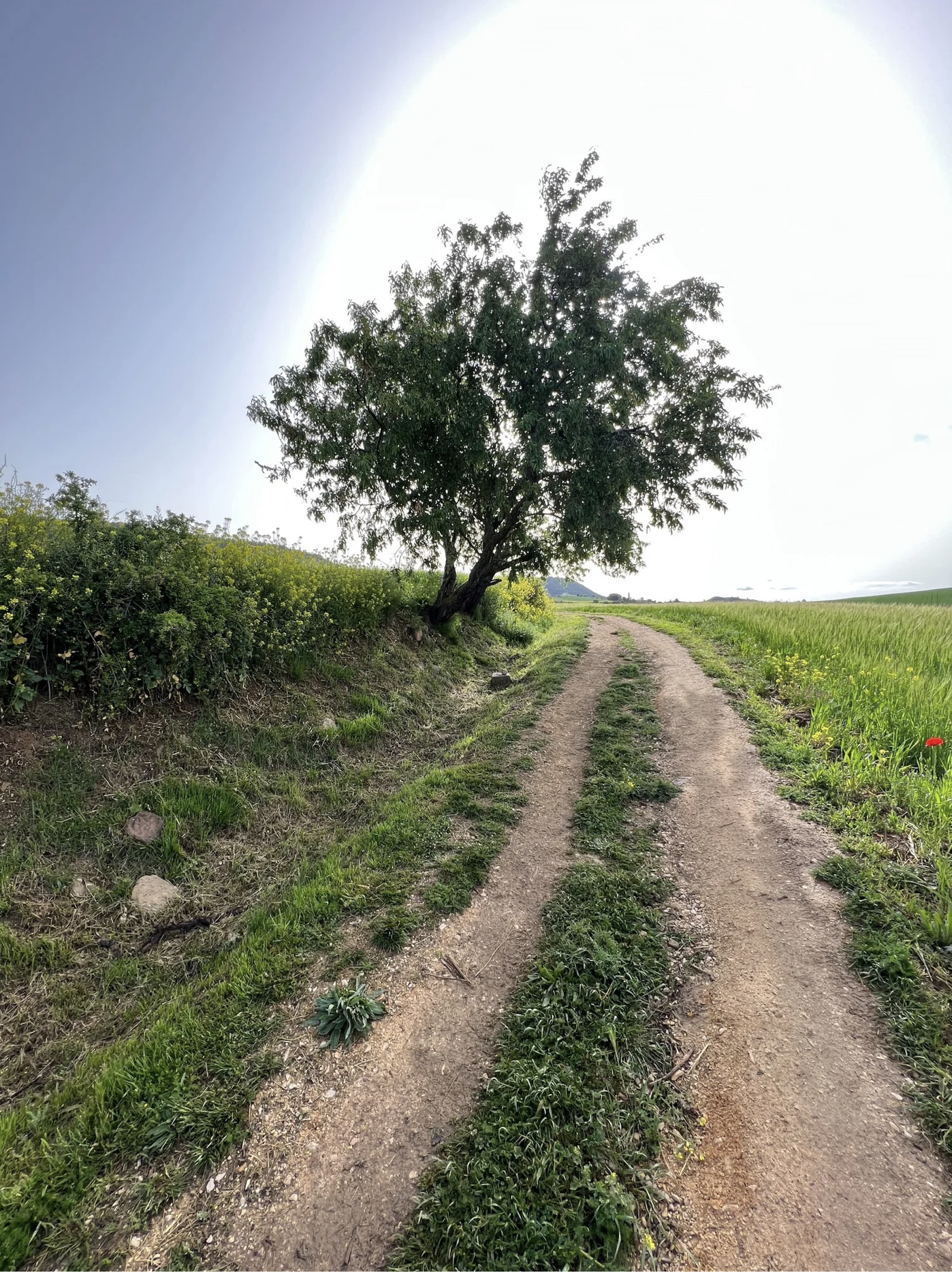 Screenshot 2026-03-10 at 8.10.30 AM.png