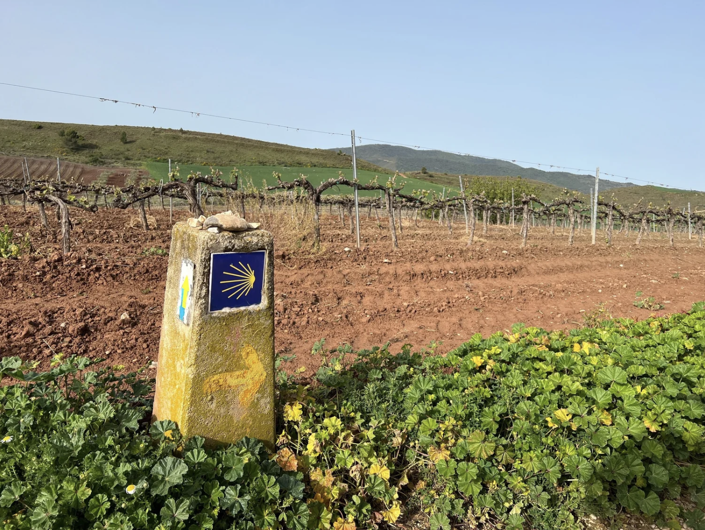 Screenshot 2026-03-10 at 8.11.02 AM.png