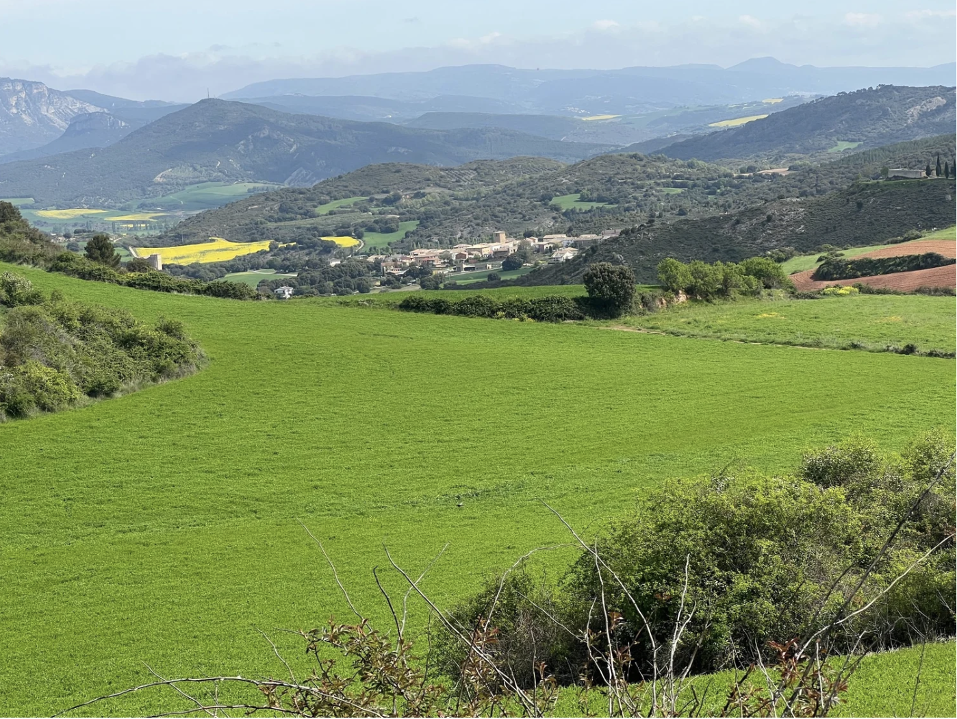 Screenshot 2026-03-10 at 8.15.49 AM.png