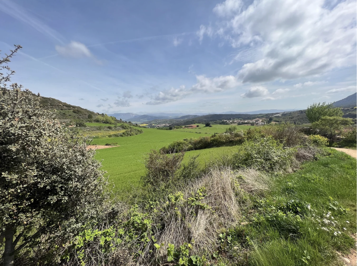 Screenshot 2026-03-10 at 8.16.03 AM.png