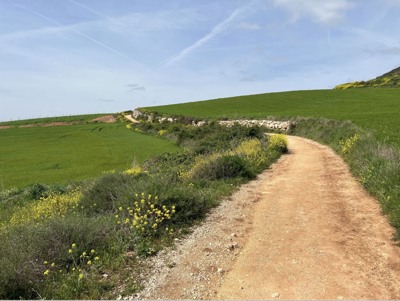 Screenshot 2026-03-10 at 8.16.36 AM.png