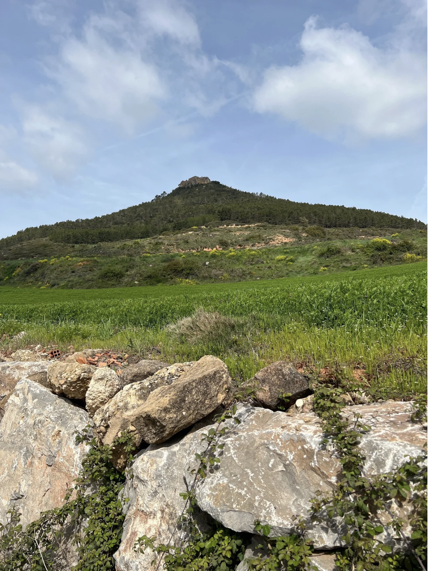 Screenshot 2026-03-10 at 8.21.25 AM.png