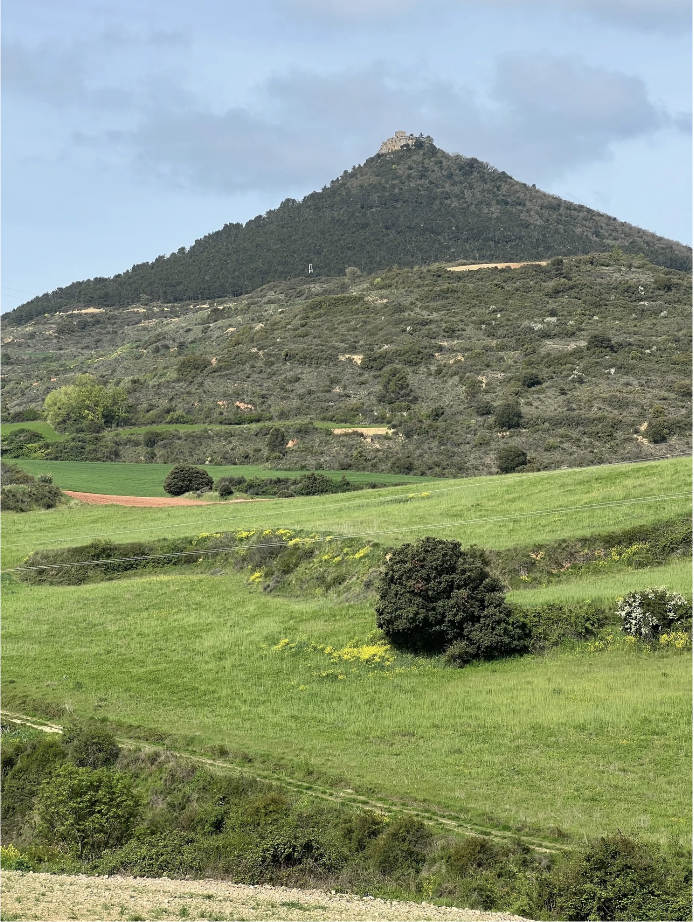 Screenshot 2026-03-10 at 8.22.37 AM.png