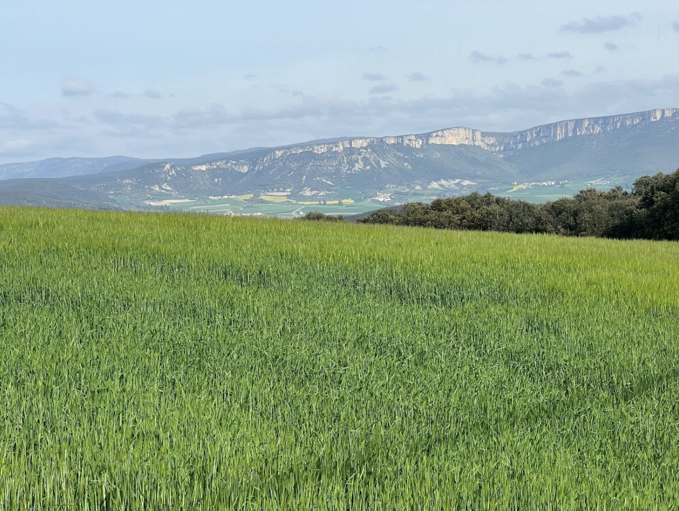 Screenshot 2026-03-10 at 8.22.51 AM.png