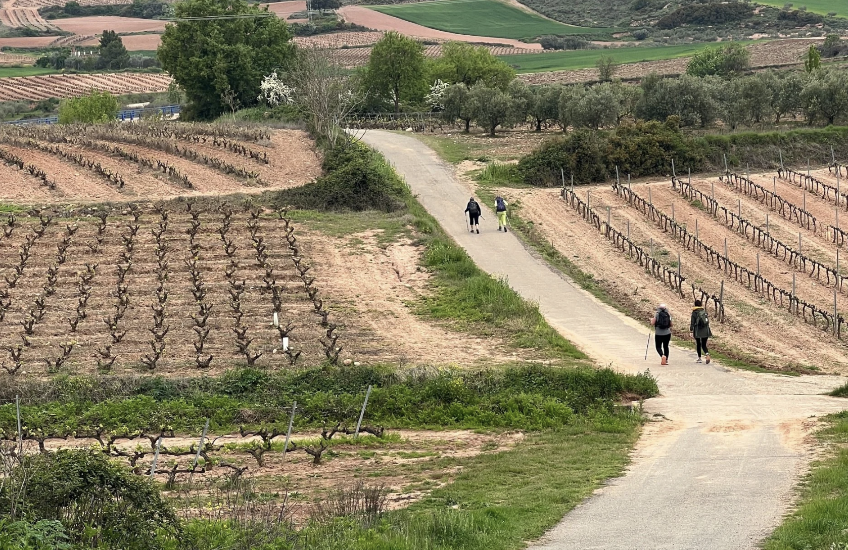 Day 10 Logrono to Najera