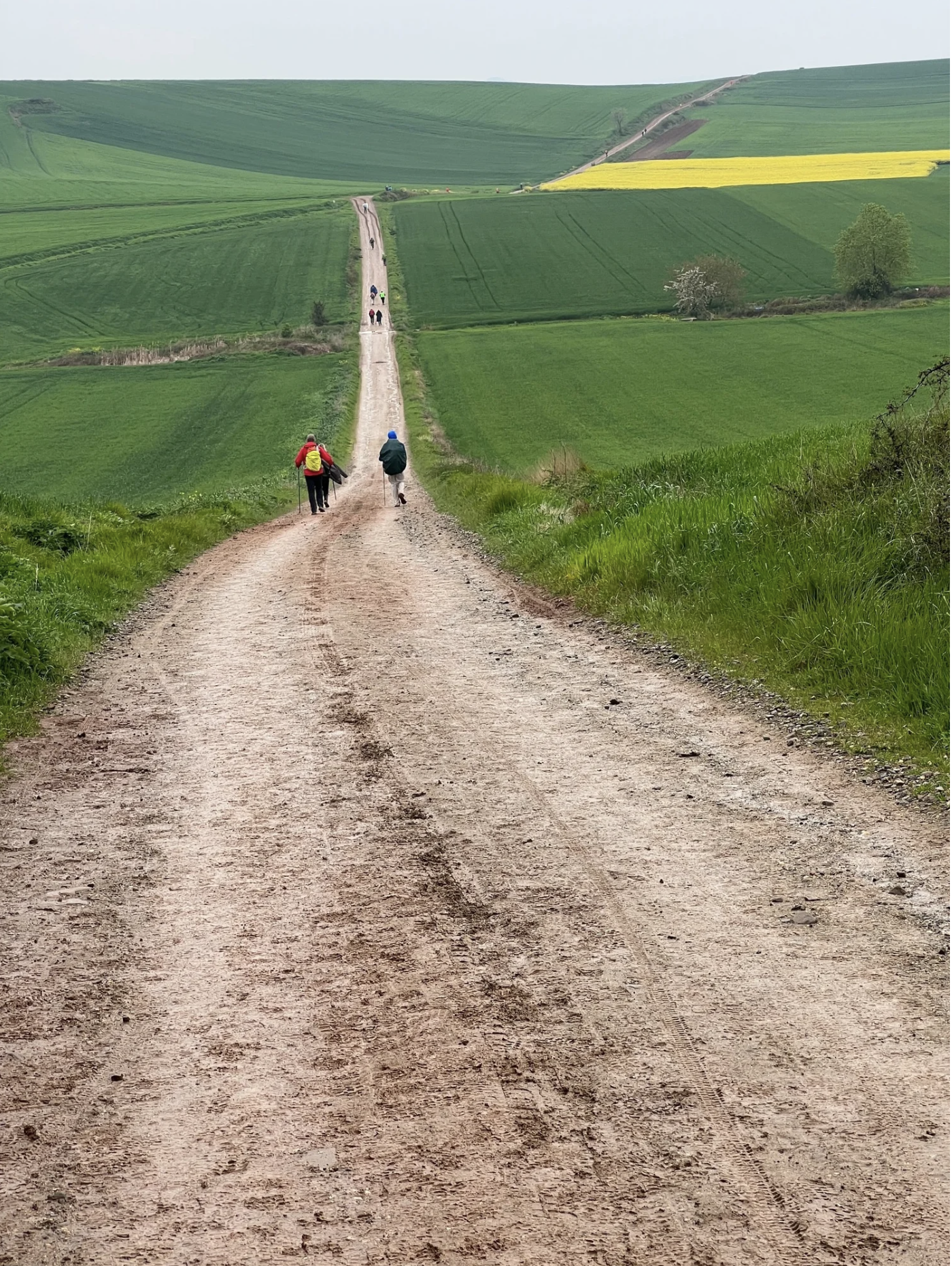 Screenshot 2026-03-10 at 8.41.44 AM.png