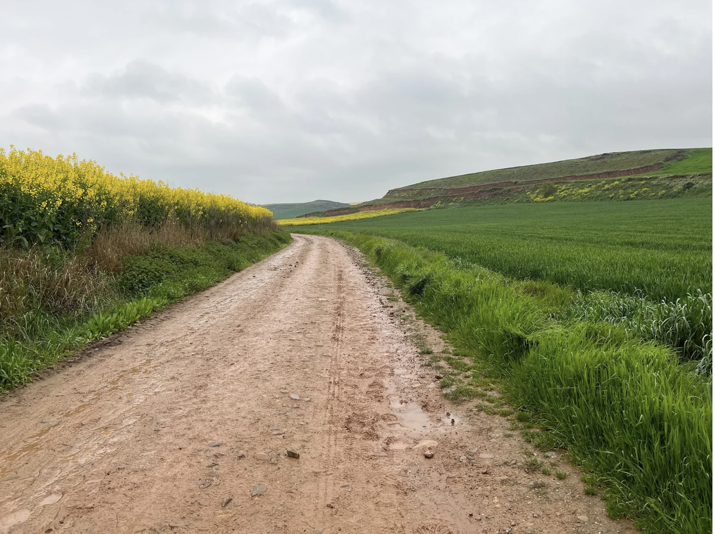 Screenshot 2026-03-10 at 8.41.56 AM.png