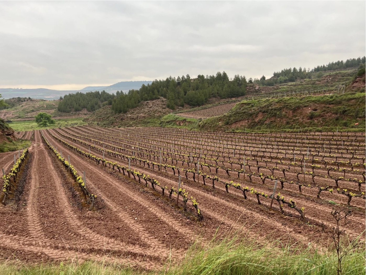 Screenshot 2026-03-10 at 8.42.24 AM.png