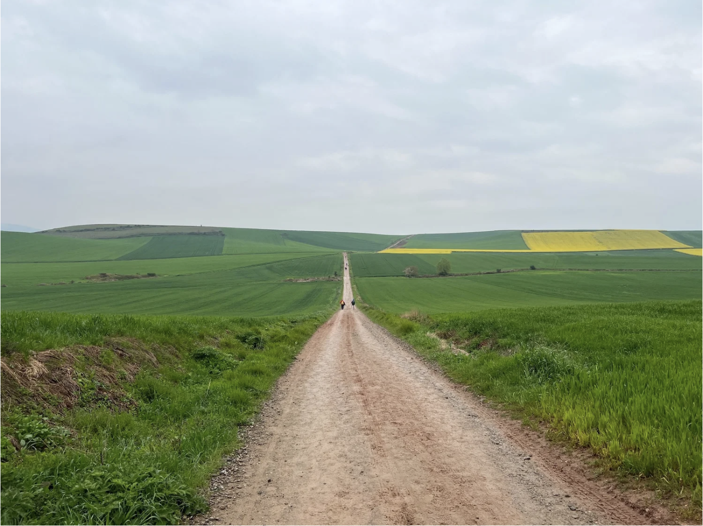 Screenshot 2026-03-10 at 8.42.38 AM.png