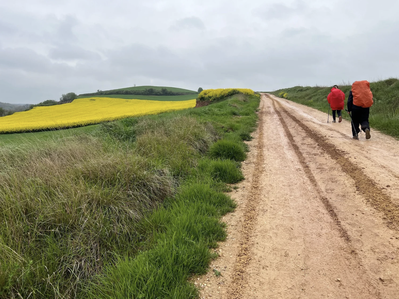 Screenshot 2026-03-10 at 8.43.55 AM.png