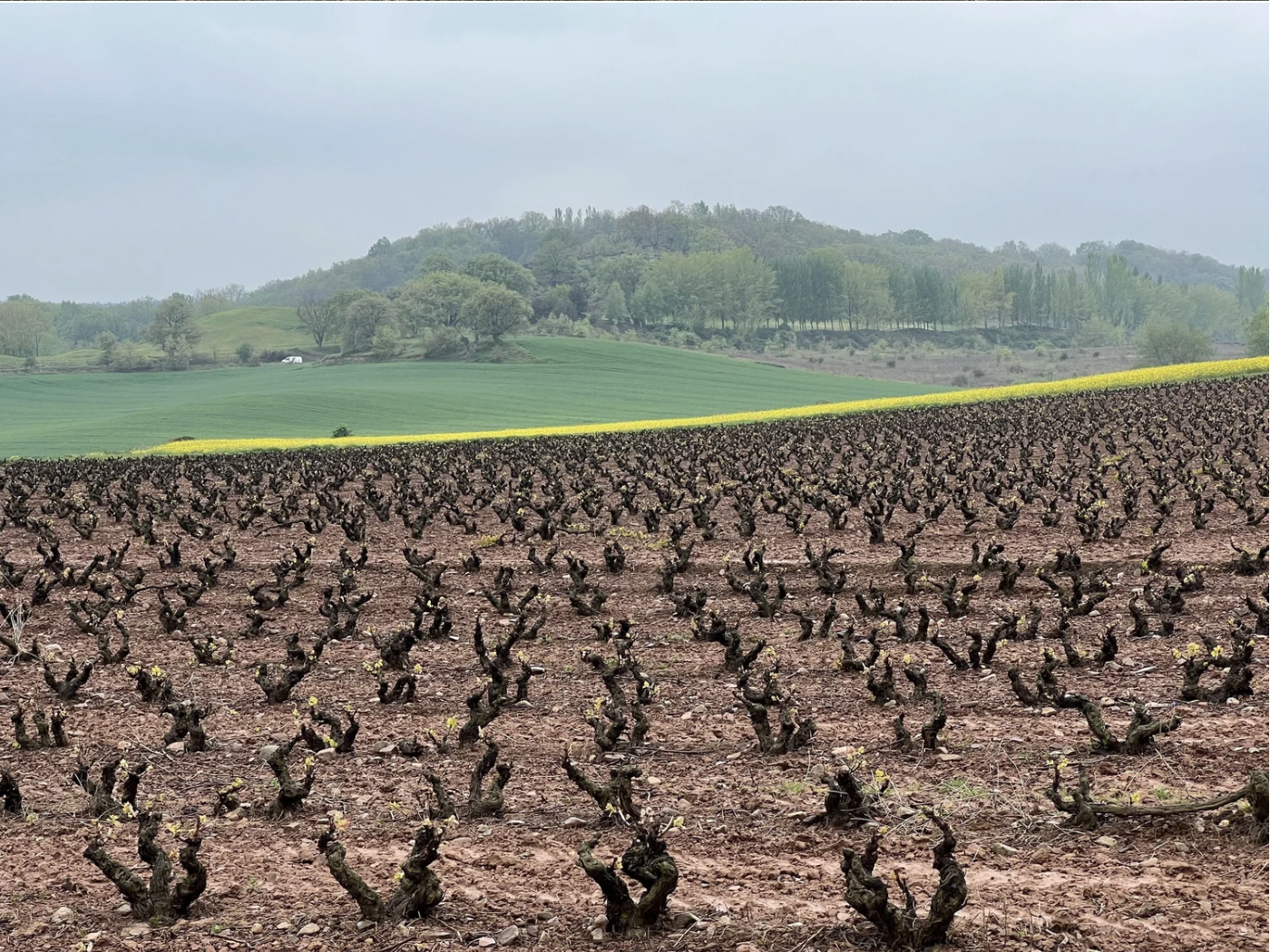 Screenshot 2026-03-10 at 8.45.37 AM.png