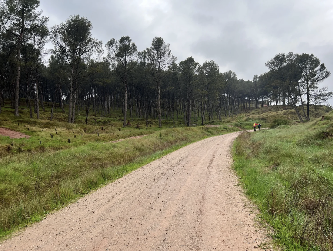 Screenshot 2026-03-10 at 8.46.32 AM.png