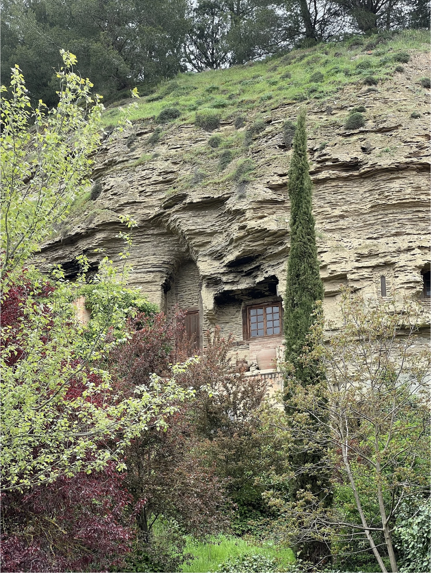 Screenshot 2026-03-10 at 8.53.59 AM.png