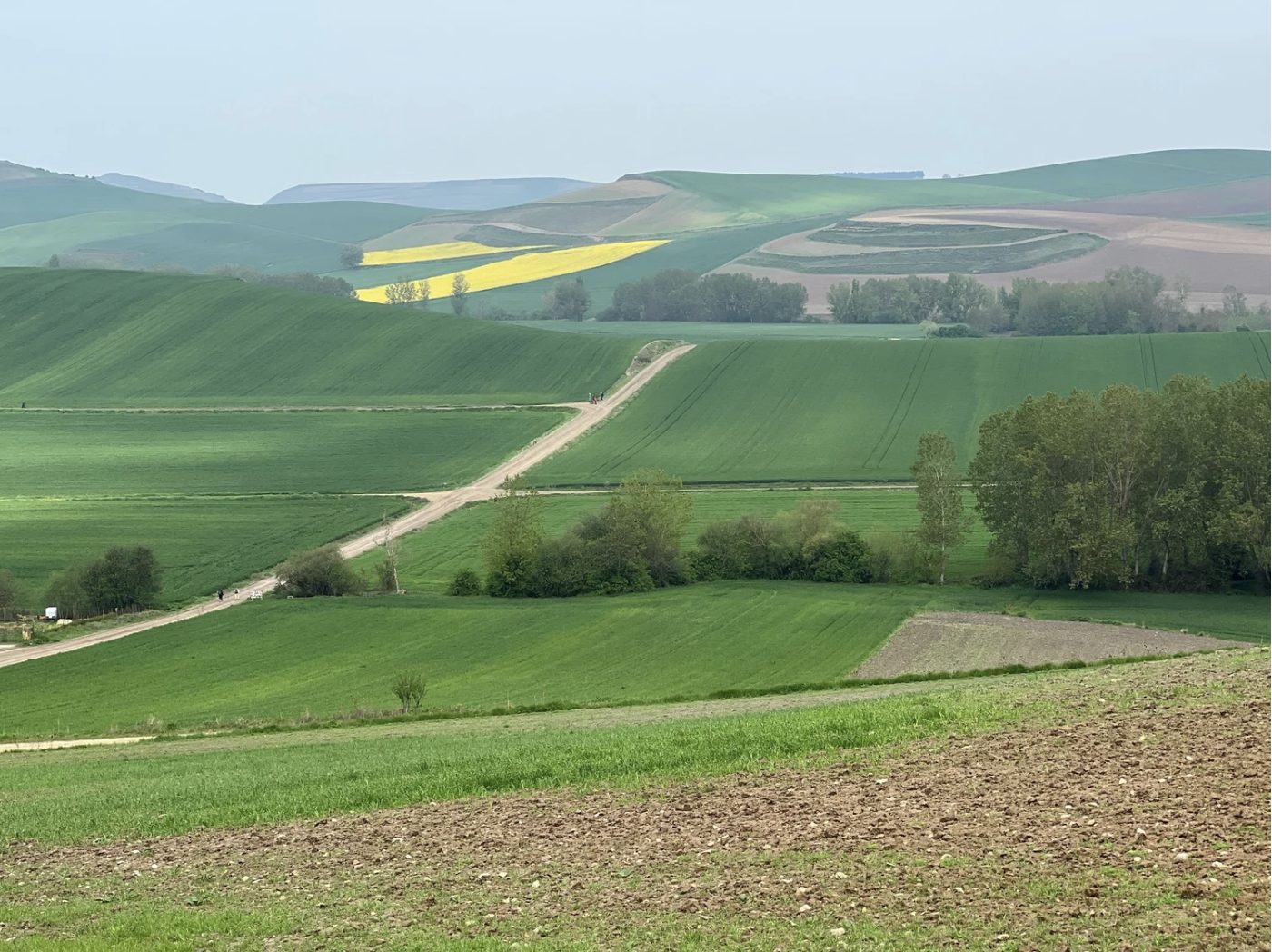 Screenshot 2026-03-10 at 8.54.39 AM.png