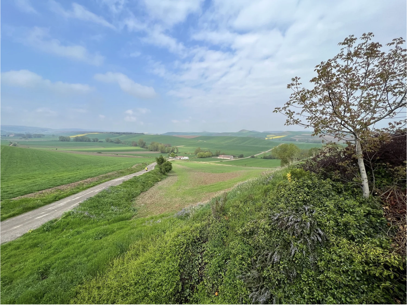 Screenshot 2026-03-10 at 8.54.49 AM.png