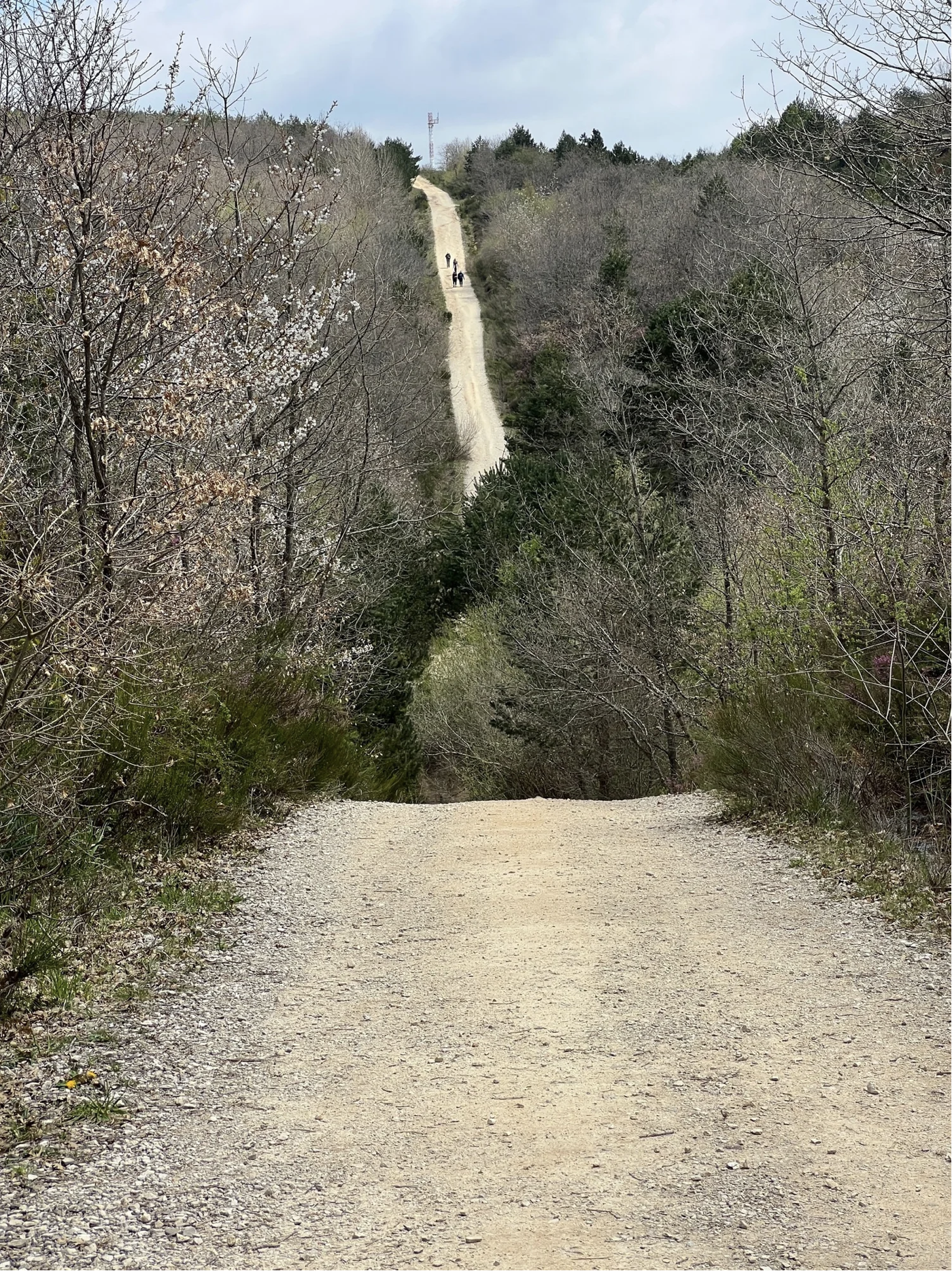 Screenshot 2026-03-10 at 9.01.12 AM.png