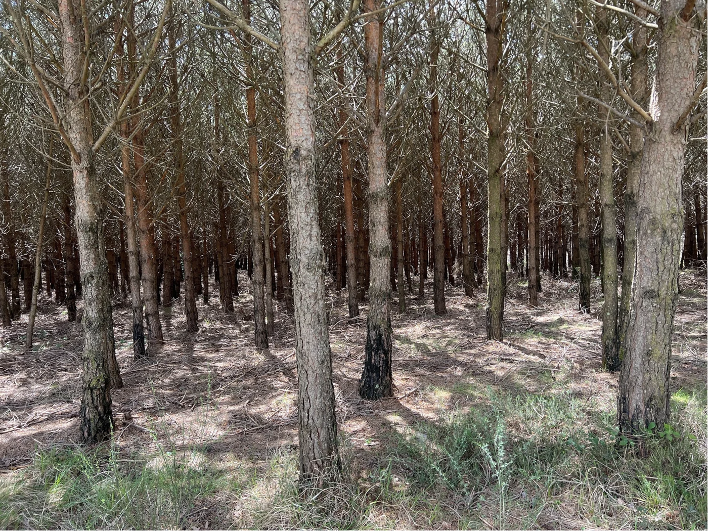 Screenshot 2026-03-10 at 9.01.38 AM.png