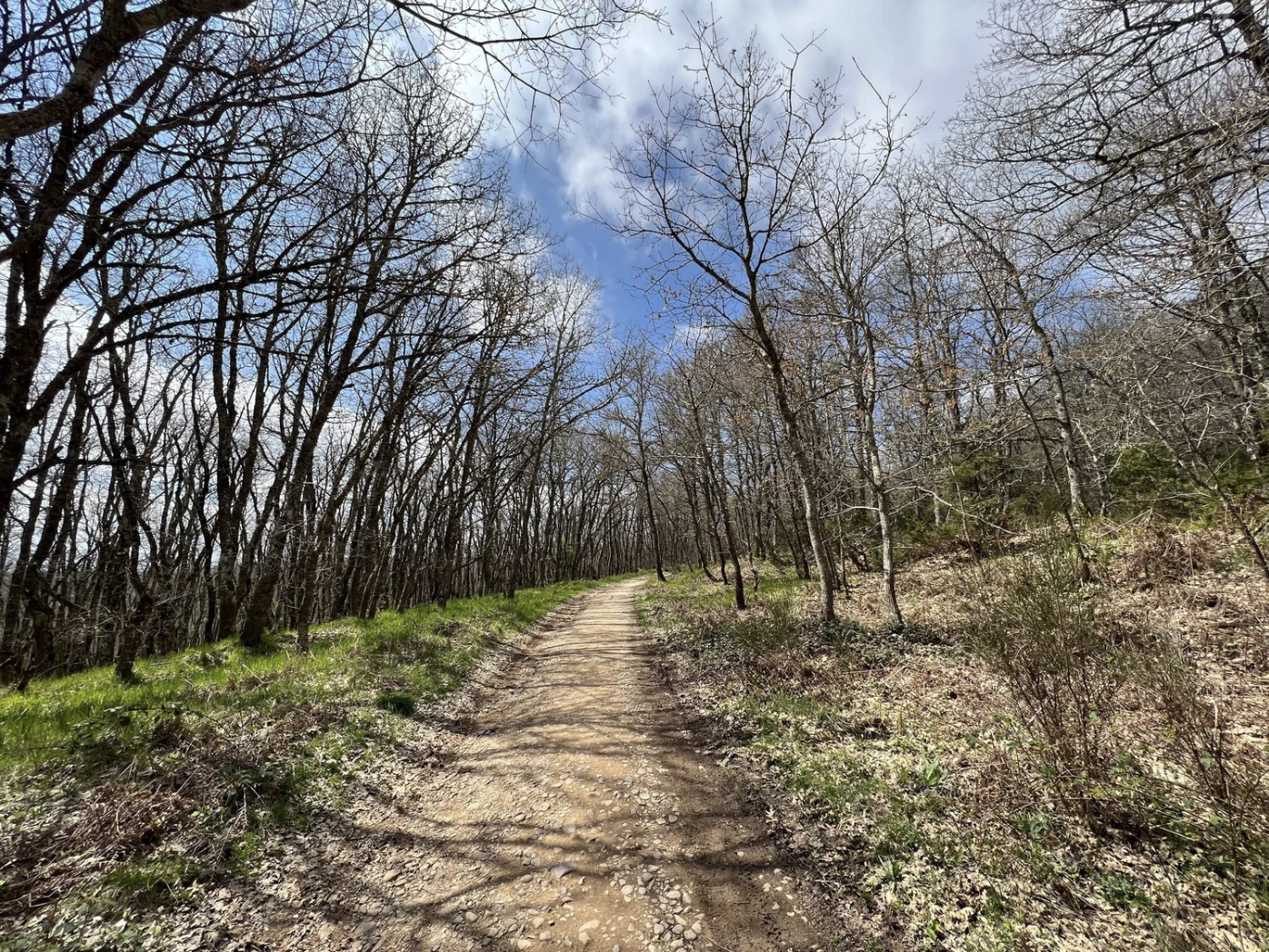 Screenshot 2026-03-10 at 9.02.12 AM.png