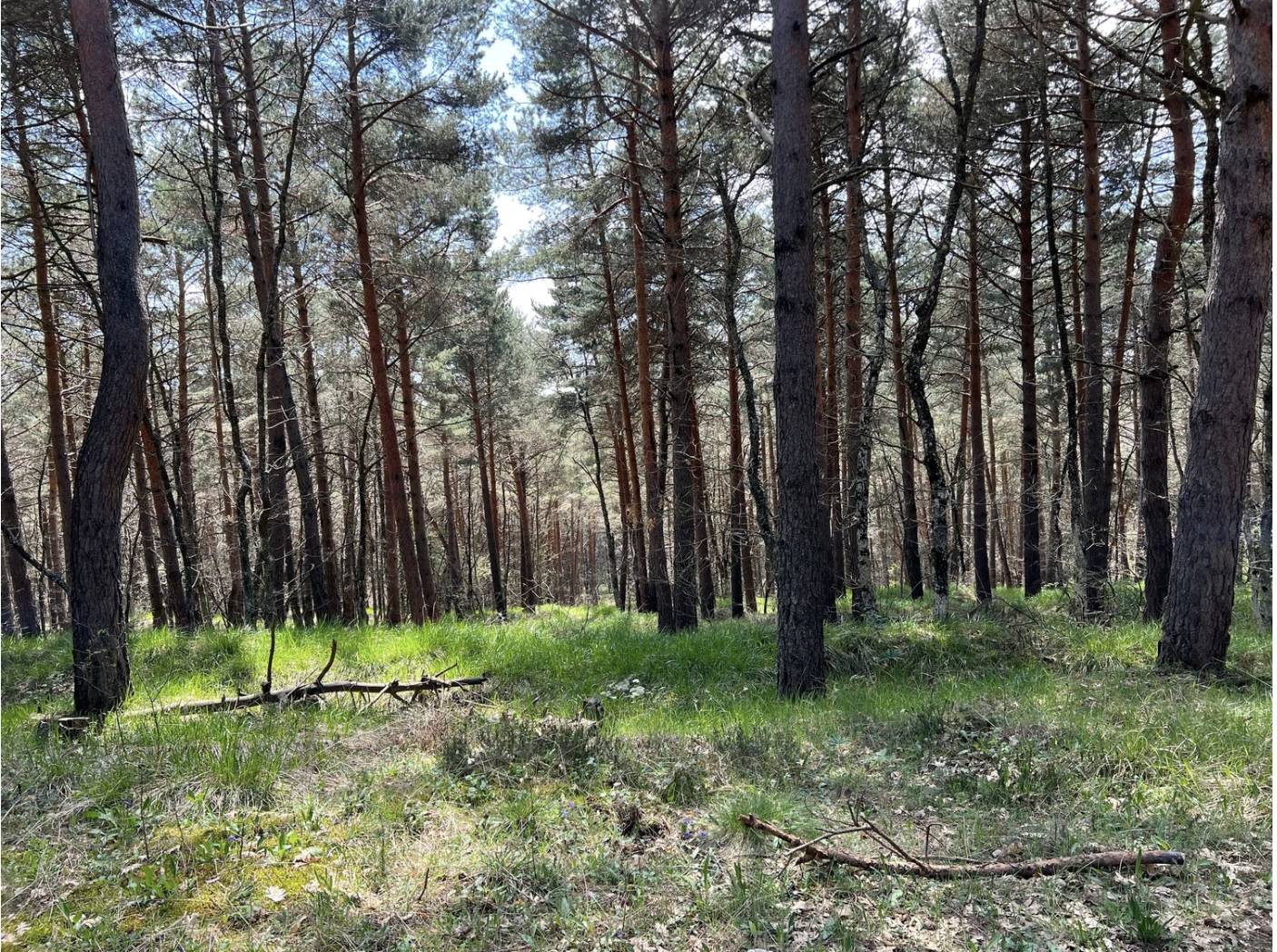 Screenshot 2026-03-10 at 9.03.10 AM.png