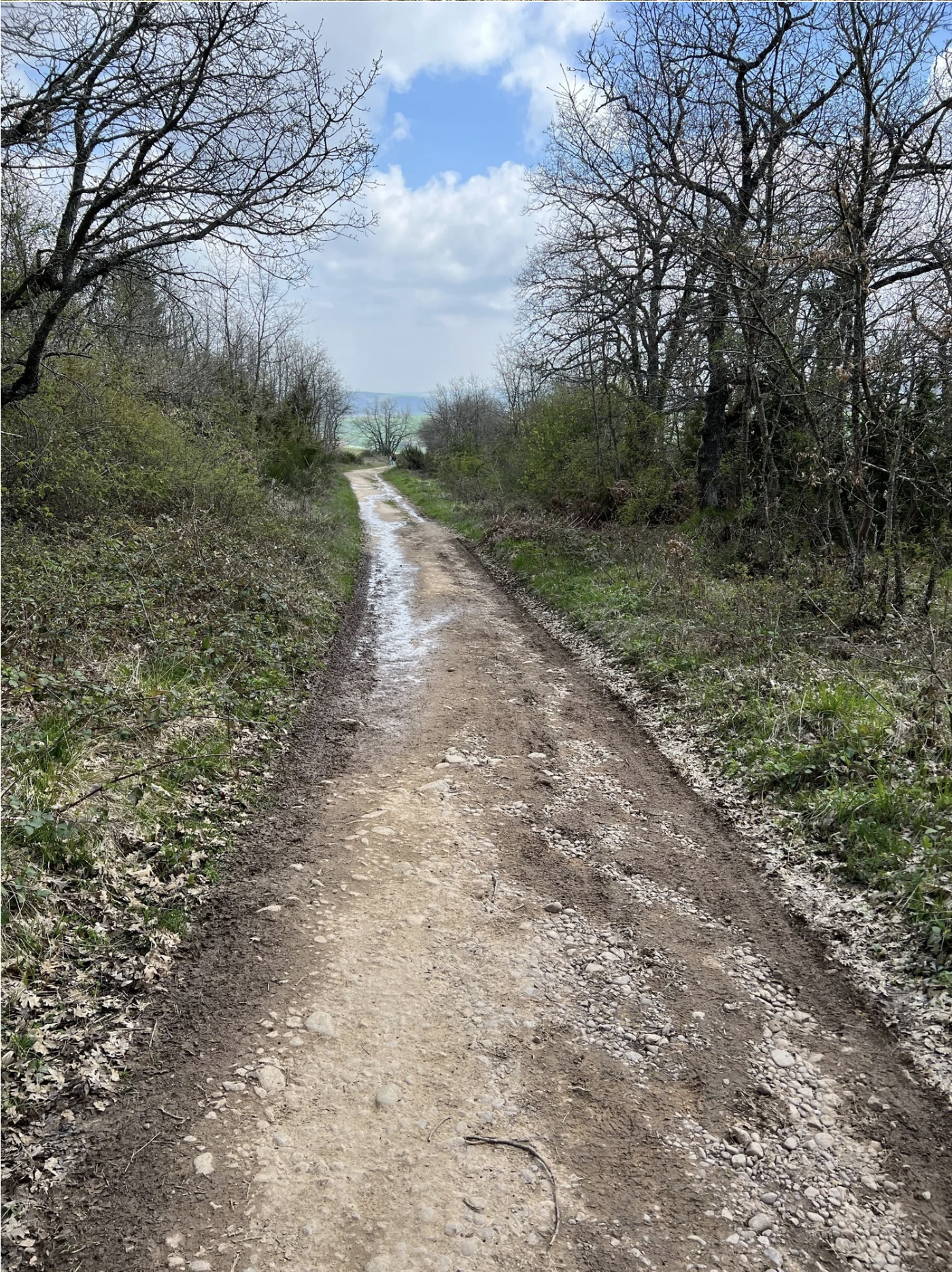 Screenshot 2026-03-10 at 9.03.24 AM.png