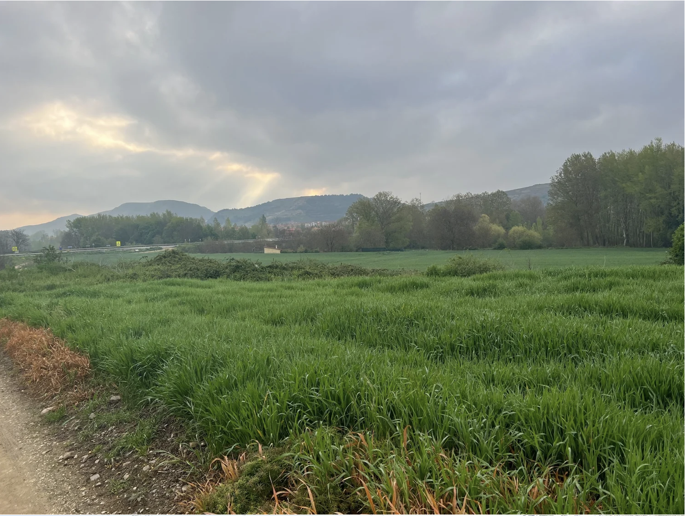 Screenshot 2026-03-10 at 9.04.42 AM.png