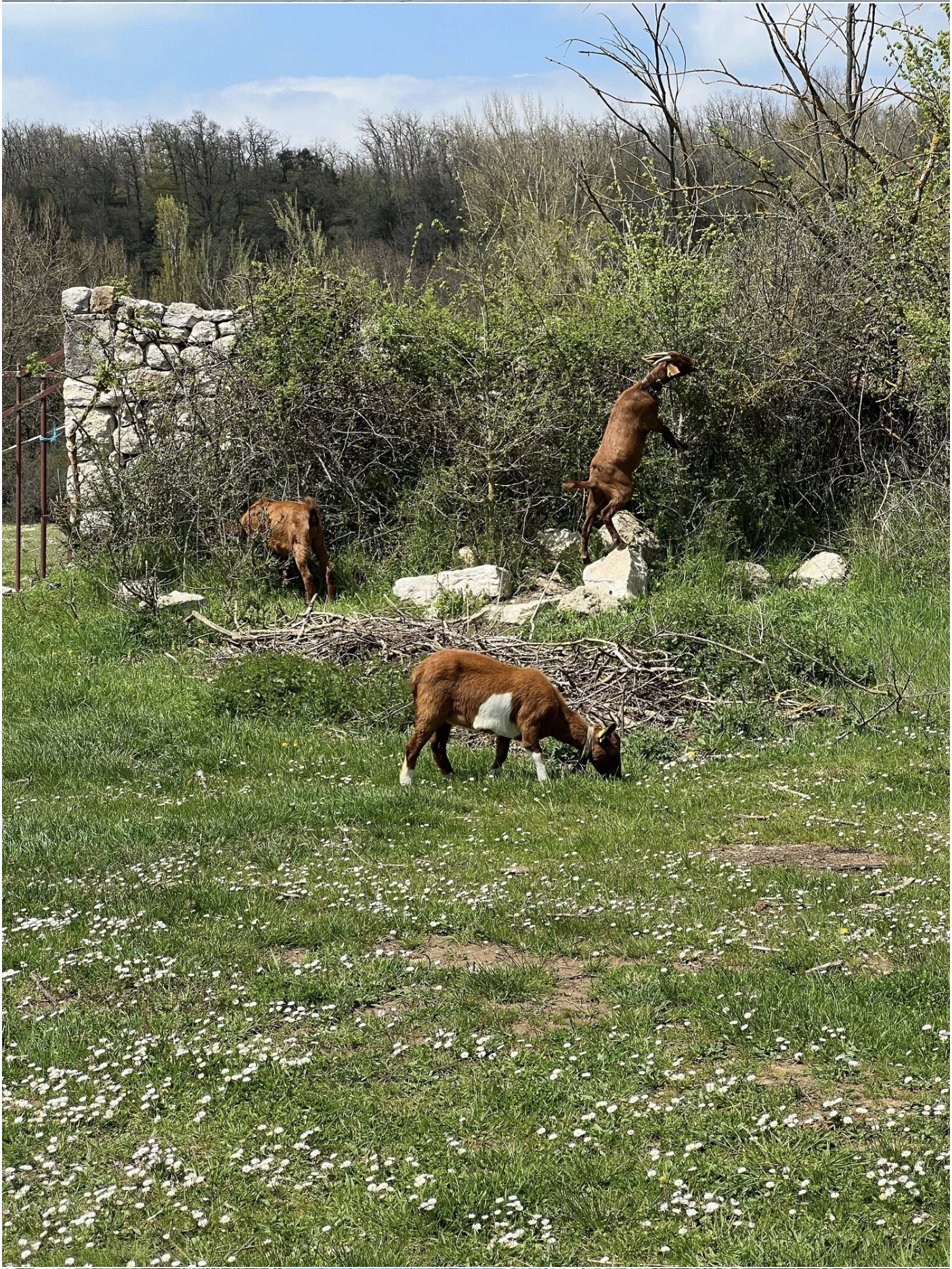 Screenshot 2026-03-10 at 9.05.55 AM.png