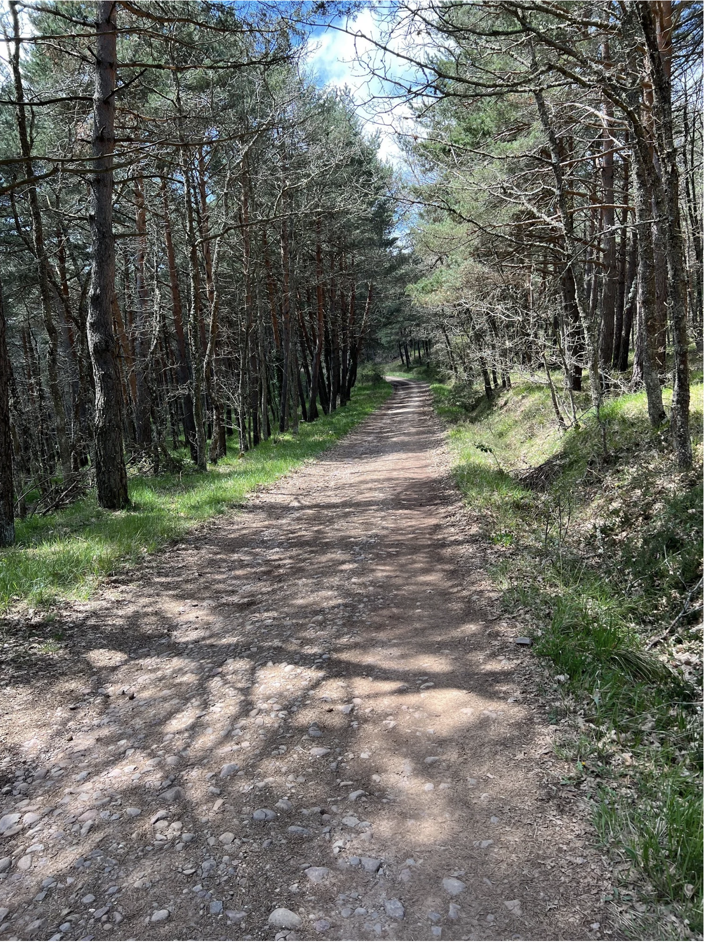 Screenshot 2026-03-10 at 9.06.07 AM.png