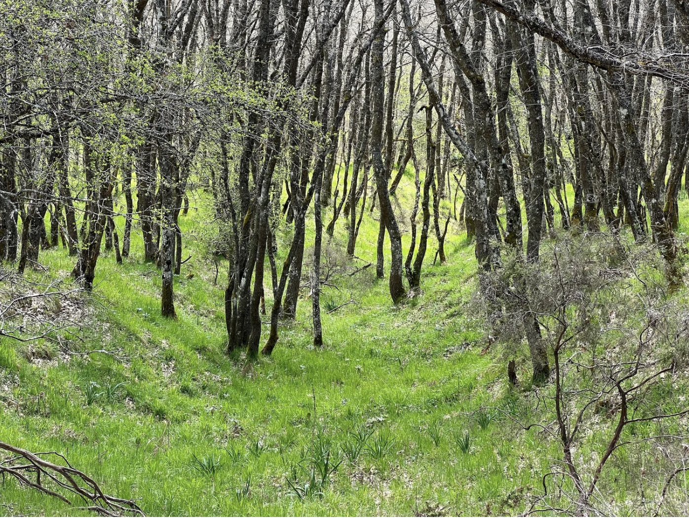 Screenshot 2026-03-10 at 9.06.33 AM.png