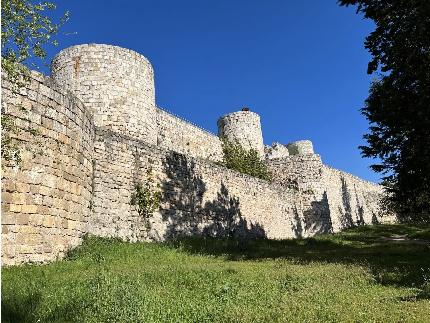 Screenshot 2026-03-10 at 9.15.46 AM.png