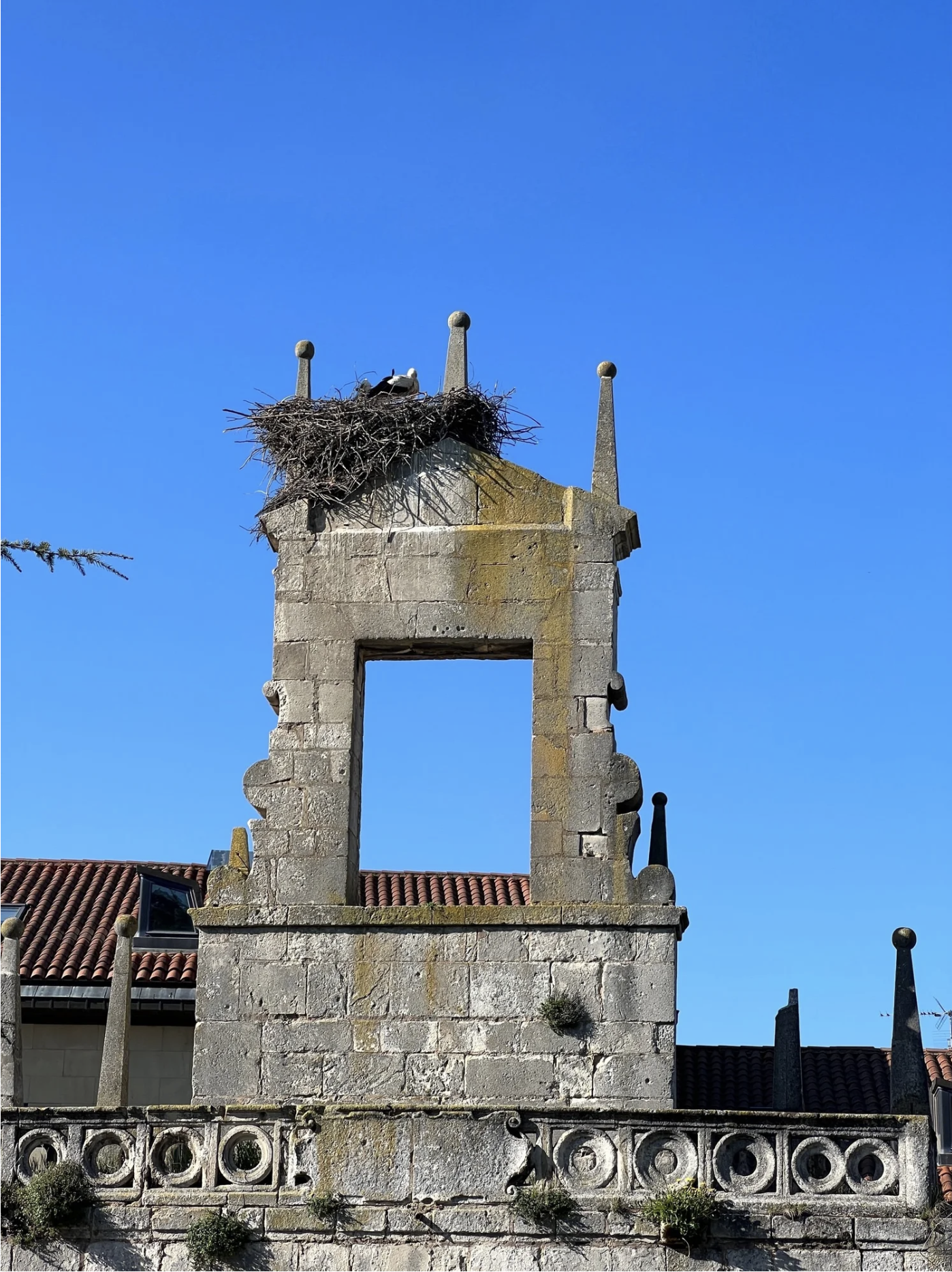 Screenshot 2026-03-10 at 9.16.01 AM.png