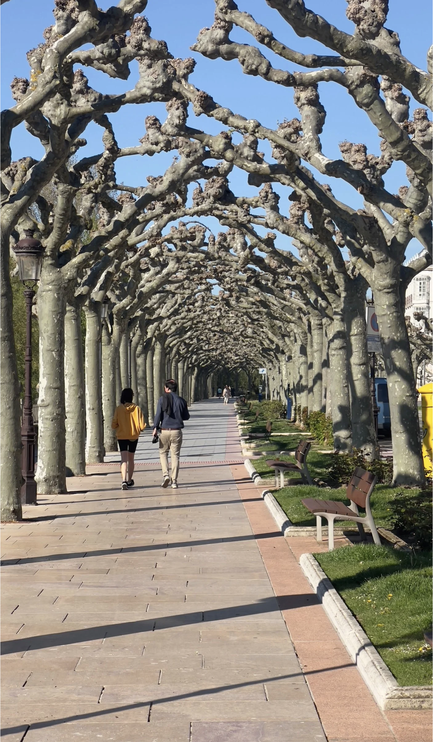 Screenshot 2026-03-10 at 9.27.05 AM.png