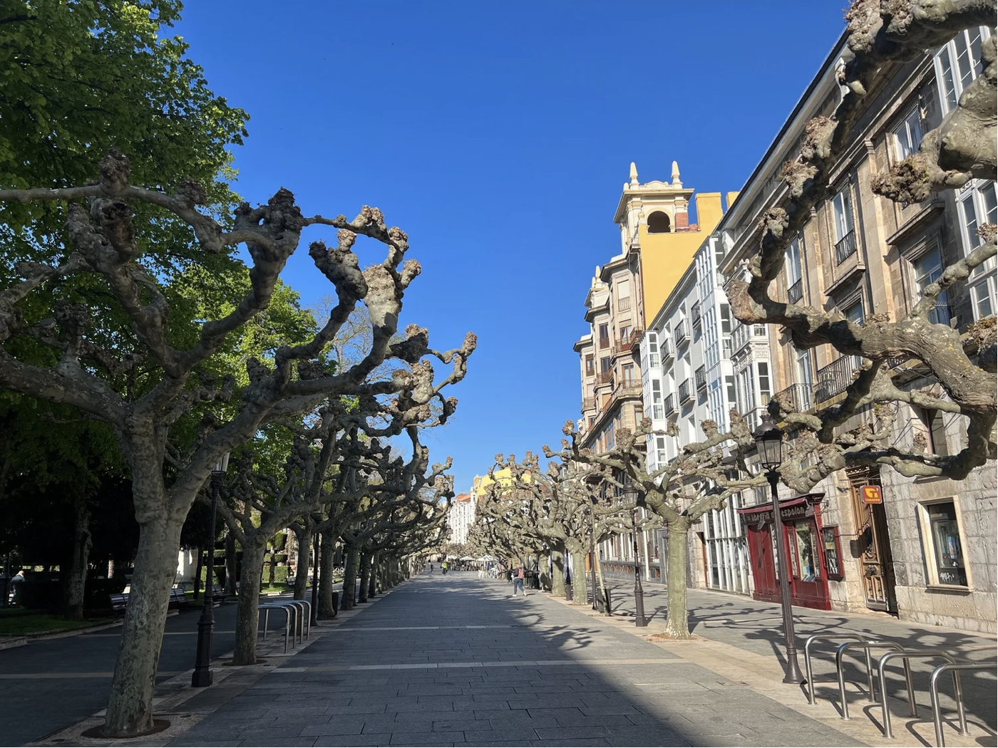 Screenshot 2026-03-10 at 9.28.39 AM.png