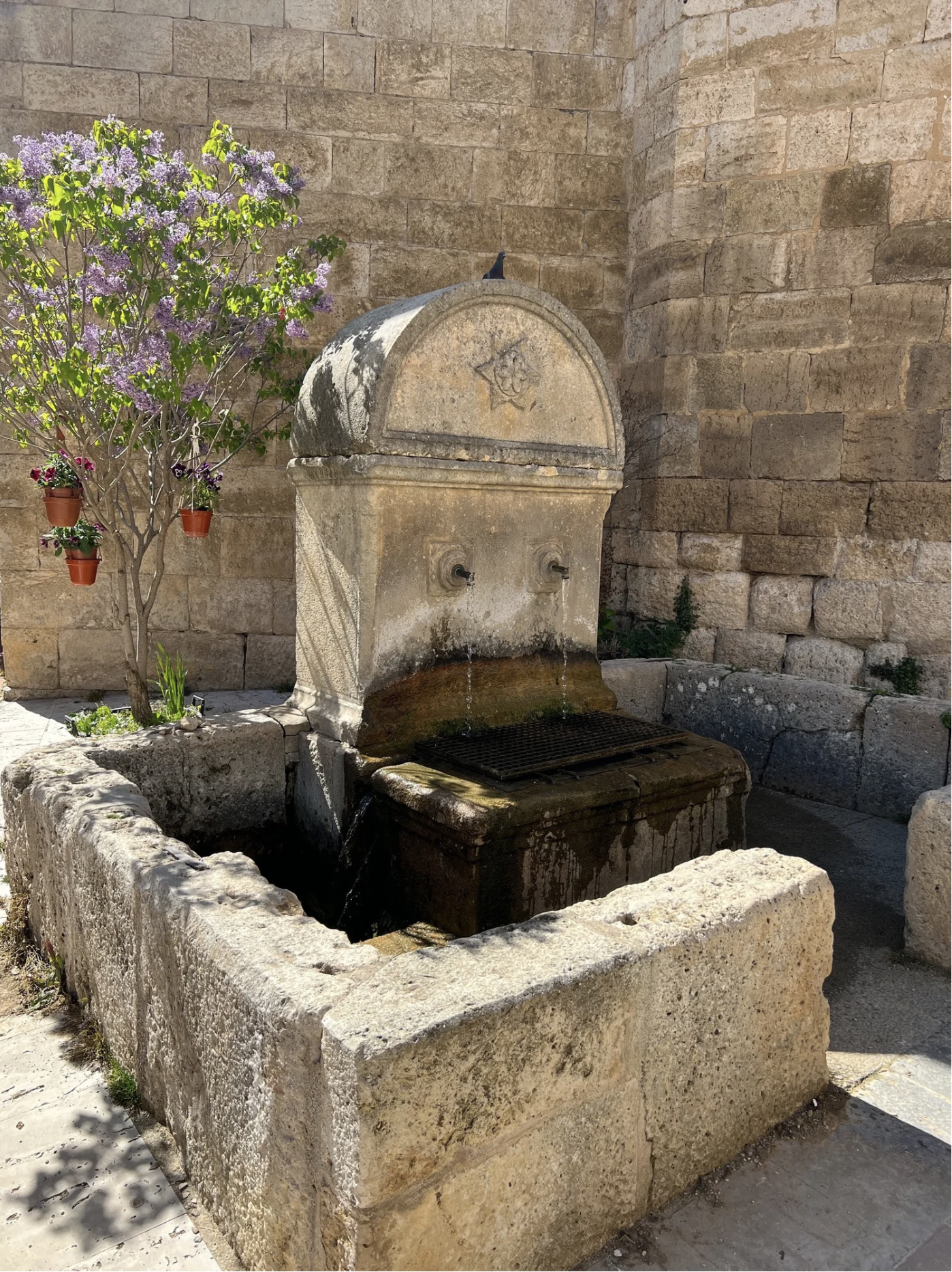 Screenshot 2026-03-10 at 9.34.23 AM.png