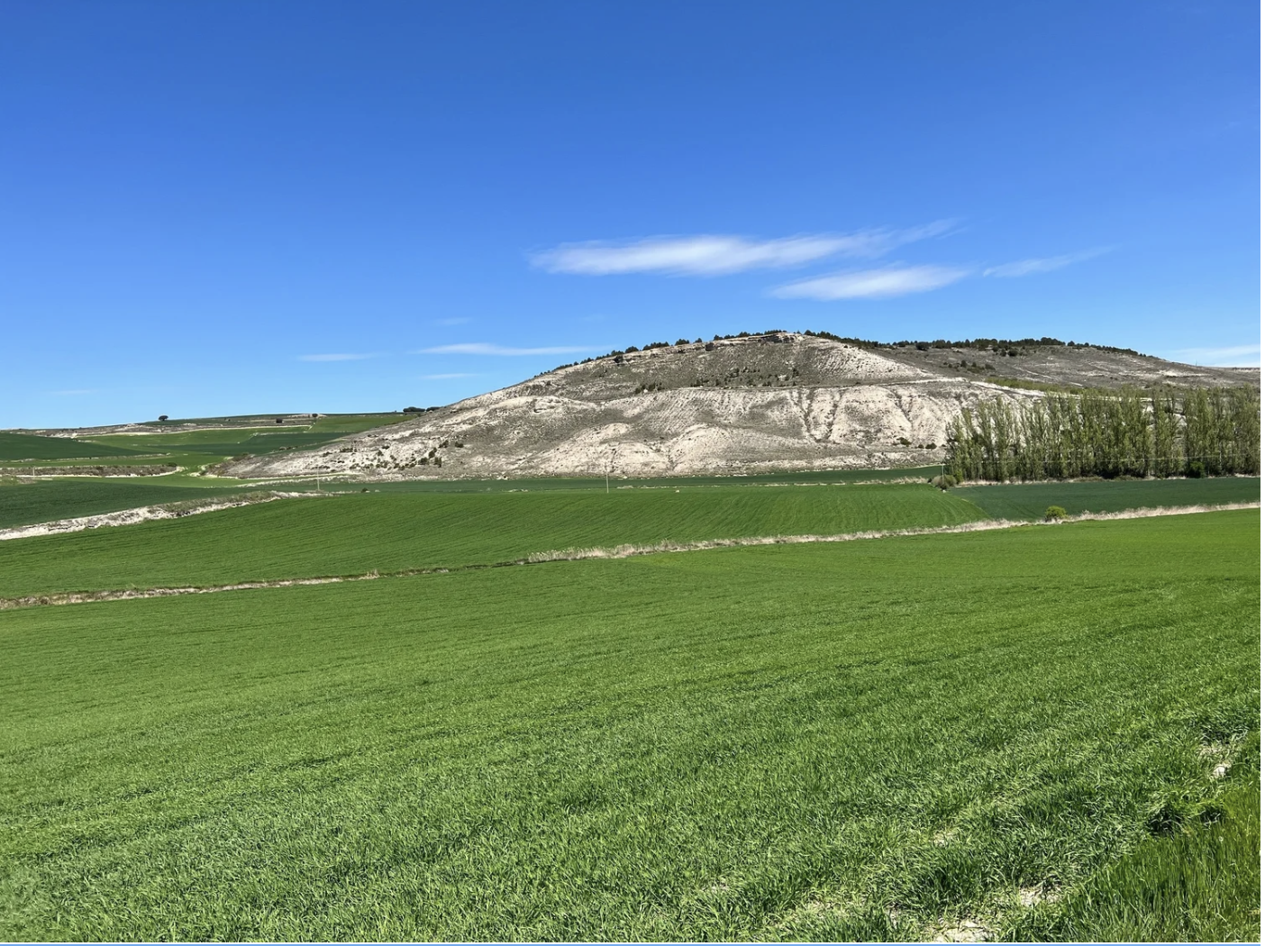 Screenshot 2026-03-10 at 9.35.12 AM.png