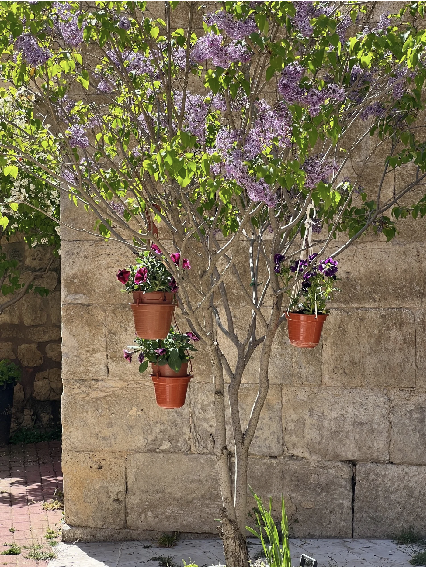 Screenshot 2026-03-10 at 9.35.41 AM.png