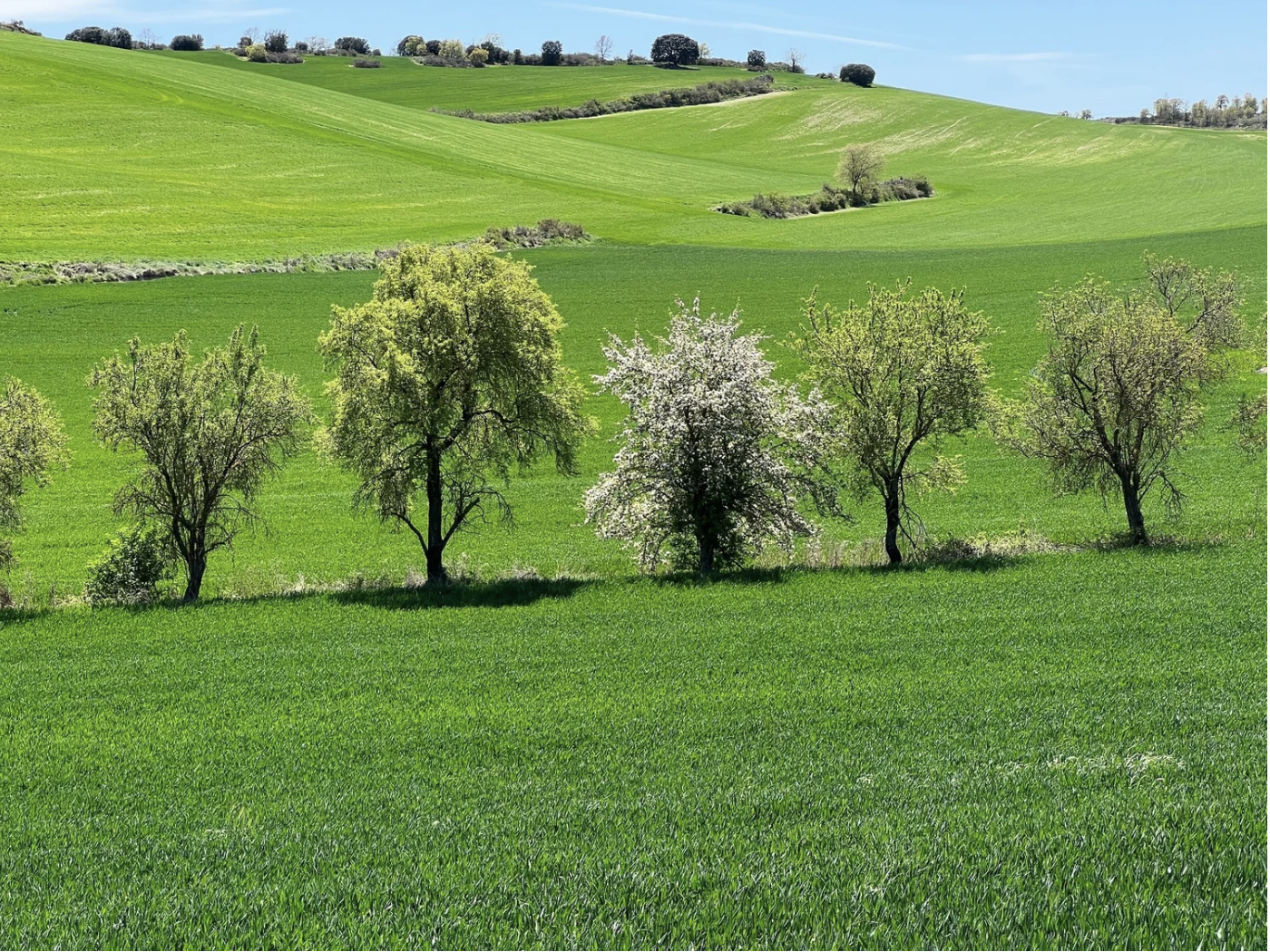 Screenshot 2026-03-10 at 9.35.53 AM.png