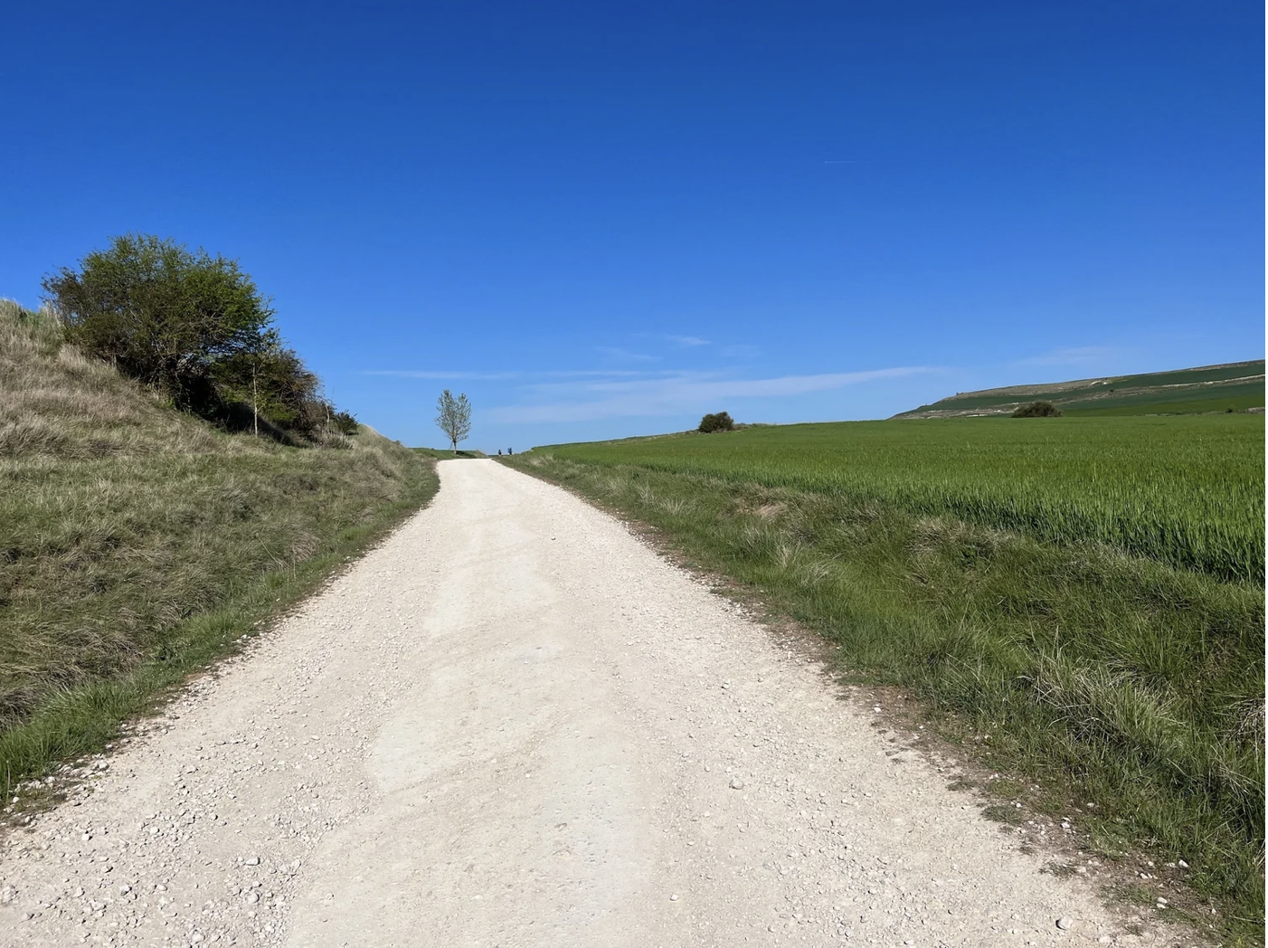 Screenshot 2026-03-10 at 9.37.40 AM.png