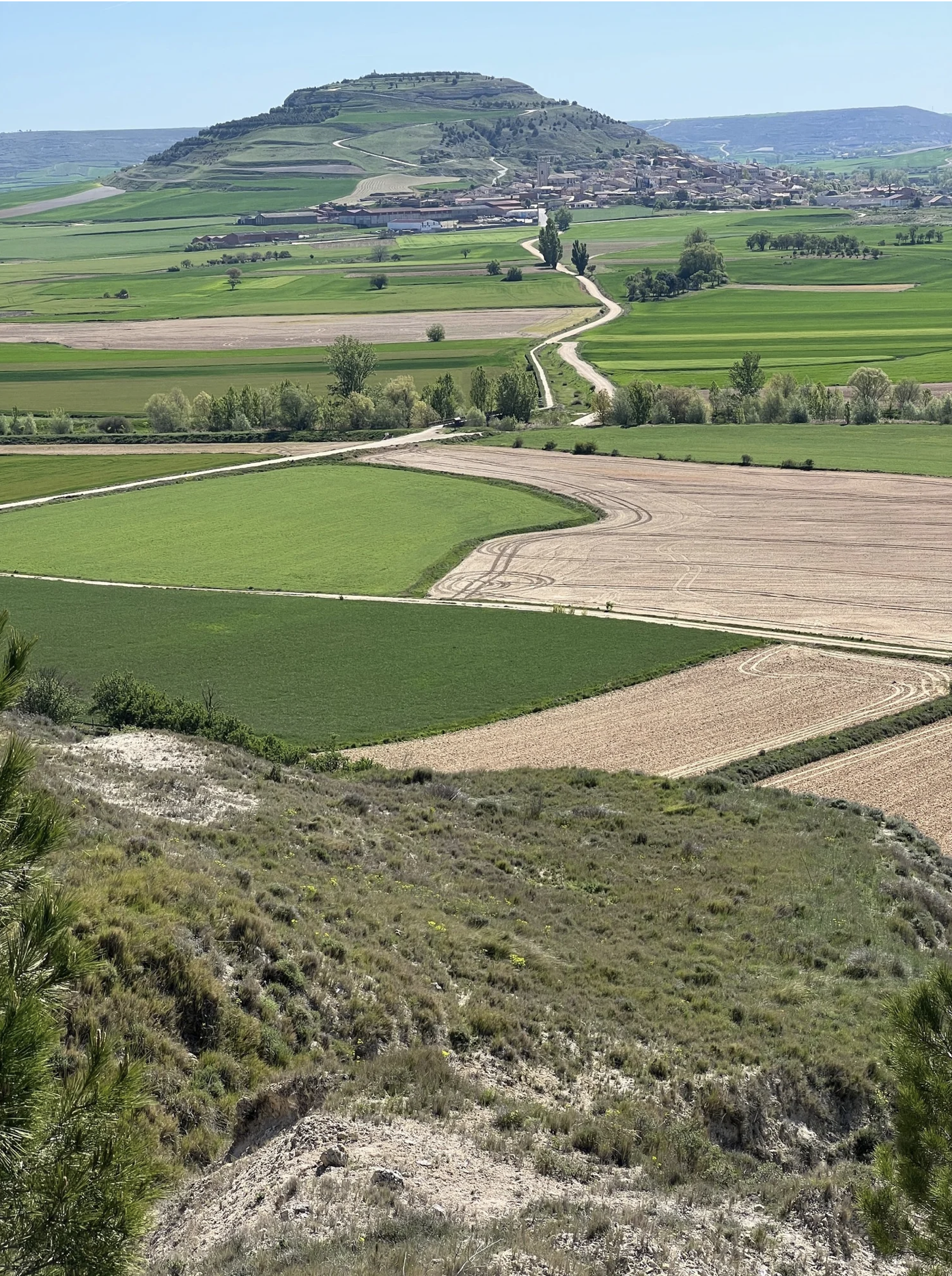 Screenshot 2026-03-10 at 9.42.30 AM.png