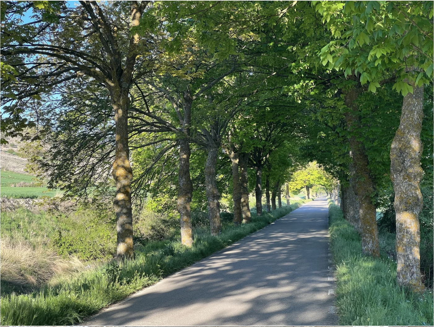 Screenshot 2026-03-10 at 9.43.21 AM.png